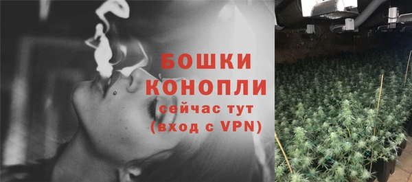 дживик Дмитров