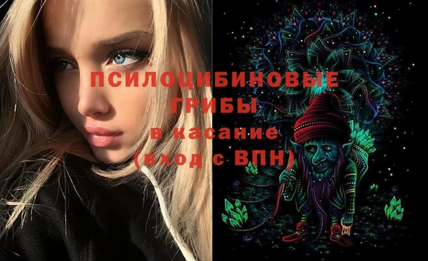 дживик Дмитров