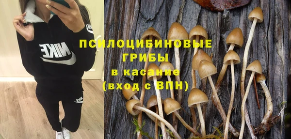 бутират Дмитриев