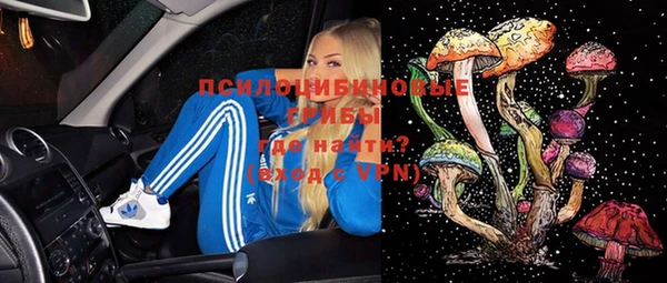 дживик Дмитров