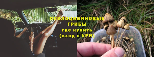 бутират Дмитриев