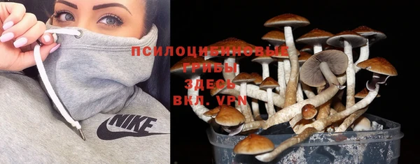 дживик Дмитров