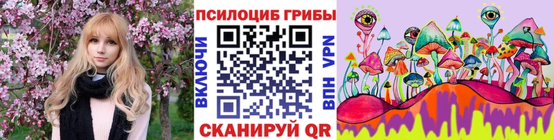 Псилоцибиновые грибы MAGIC MUSHROOMS Купить где Макаров